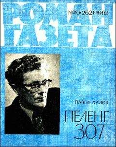 Читайте книги онлайн на Bookidrom.ru! Бесплатные книги в одном клике Павел Халов - Пеленг 307