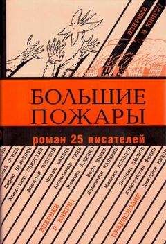 Читайте книги онлайн на Bookidrom.ru! Бесплатные книги в одном клике Александр Аросев - Большие пожары