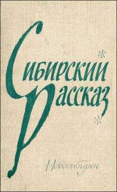 Читайте книги онлайн на Bookidrom.ru! Бесплатные книги в одном клике Владимир Сапожников - Рассказы