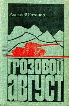 Читайте книги онлайн на Bookidrom.ru! Бесплатные книги в одном клике Алексей Котенев - Грозовой август