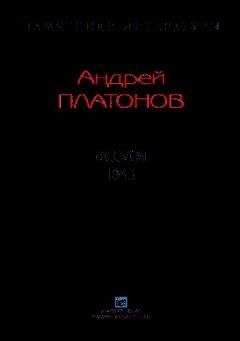 Читайте книги онлайн на Bookidrom.ru! Бесплатные книги в одном клике Андрей Платонов - Рассказы.Том 3