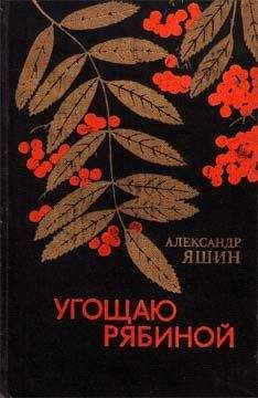 Читайте книги онлайн на Bookidrom.ru! Бесплатные книги в одном клике Александр Яшин - Две берлоги