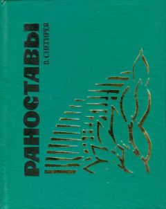 Читайте книги онлайн на Bookidrom.ru! Бесплатные книги в одном клике Василий Снегирёв - Раноставы