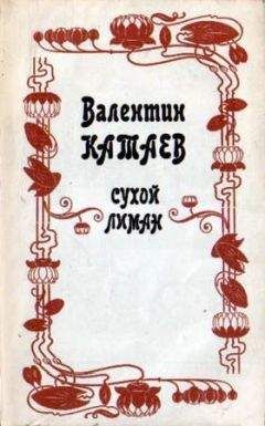 Читайте книги онлайн на Bookidrom.ru! Бесплатные книги в одном клике Валентин Катаев - Сухой лиман (сборник)