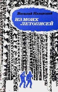 Читайте книги онлайн на Bookidrom.ru! Бесплатные книги в одном клике Василий Казанский - Из моих летописей