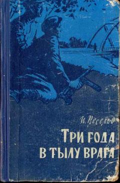 Илья Веселов - Три года в тылу врага