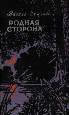 Читайте книги онлайн на Bookidrom.ru! Бесплатные книги в одном клике Василий Земляк - Родная сторона