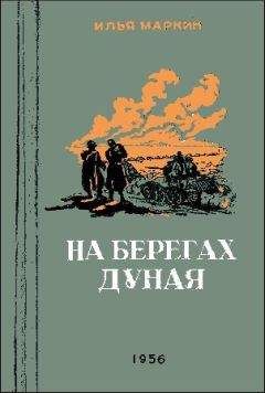 Читайте книги онлайн на Bookidrom.ru! Бесплатные книги в одном клике Илья Маркин - На берегах Дуная