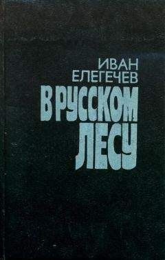 Читайте книги онлайн на Bookidrom.ru! Бесплатные книги в одном клике Иван Елегечев - В русском лесу