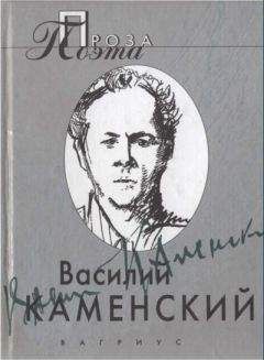 Читайте книги онлайн на Bookidrom.ru! Бесплатные книги в одном клике Василий Каменский - Василий Каменский . Проза поэта