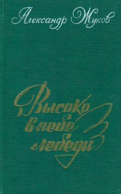 Читайте книги онлайн на Bookidrom.ru! Бесплатные книги в одном клике Александр Жуков - Высоко в небе лебеди