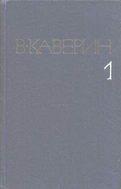 Читайте книги онлайн на Bookidrom.ru! Бесплатные книги в одном клике Вениамин Каверин - Скандалист