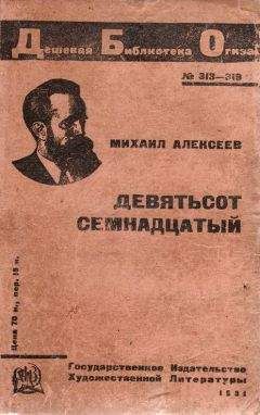 Читайте книги онлайн на Bookidrom.ru! Бесплатные книги в одном клике Михаил Алексеев (Брыздников) - Девятьсот семнадцатый