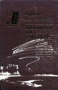 Читайте книги онлайн на Bookidrom.ru! Бесплатные книги в одном клике Бронюс Радзявичюс - Большаки на рассвете
