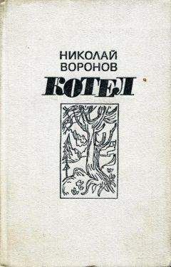 Читайте книги онлайн на Bookidrom.ru! Бесплатные книги в одном клике Николай Воронов - Котел. Книга первая