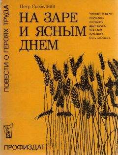 Читайте книги онлайн на Bookidrom.ru! Бесплатные книги в одном клике Петр Скобелкин - На заре и ясным днем