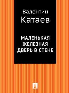 Читайте книги онлайн на Bookidrom.ru! Бесплатные книги в одном клике Валентин Катаев - Маленькая железная дверь в стене