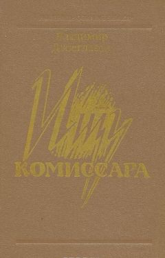 Читайте книги онлайн на Bookidrom.ru! Бесплатные книги в одном клике Владимир Двоеглазов - Ищу комиссара