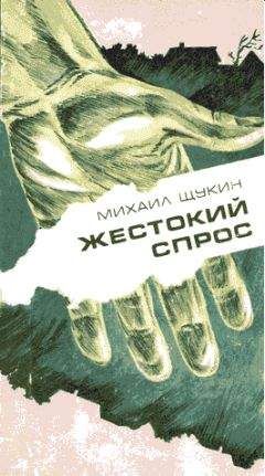 Читайте книги онлайн на Bookidrom.ru! Бесплатные книги в одном клике Михаил Щукин - Рядовой случай