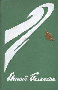 Читайте книги онлайн на Bookidrom.ru! Бесплатные книги в одном клике Евгений Белянкин - Садыя