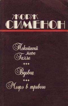 Читайте книги онлайн на Bookidrom.ru! Бесплатные книги в одном клике Жорж Сименон - Вдовец