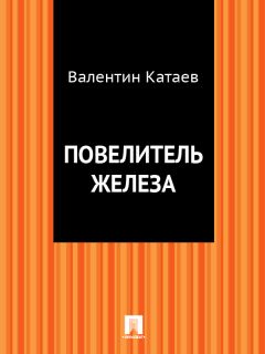 Читайте книги онлайн на Bookidrom.ru! Бесплатные книги в одном клике Валентин Катаев - Повелитель железа