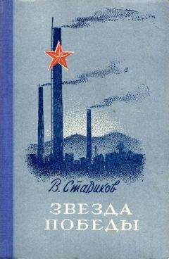 Читайте книги онлайн на Bookidrom.ru! Бесплатные книги в одном клике Виктор Стариков - Звезда победы