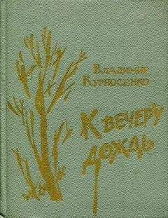 Читайте книги онлайн на Bookidrom.ru! Бесплатные книги в одном клике Владимир Курносенко - К вечеру дождь