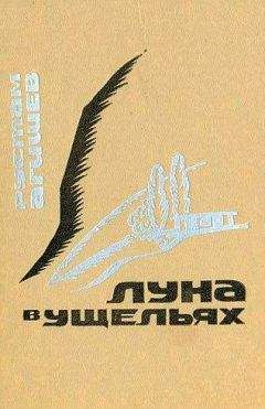 Читайте книги онлайн на Bookidrom.ru! Бесплатные книги в одном клике Рустам Агишев - Луна в ущельях