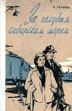 Читайте книги онлайн на Bookidrom.ru! Бесплатные книги в одном клике Петр Гагарин - За голубым Сибирским морем