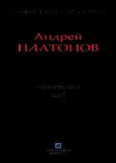 Читайте книги онлайн на Bookidrom.ru! Бесплатные книги в одном клике Андрей Платонов - Рассказы.Том 8
