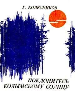 Читайте книги онлайн на Bookidrom.ru! Бесплатные книги в одном клике Гавриил Колесников - Поклонитесь колымскому солнцу