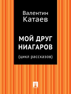 Читайте книги онлайн на Bookidrom.ru! Бесплатные книги в одном клике Валентин Катаев - Мой друг Ниагаров (цикл рассказов)