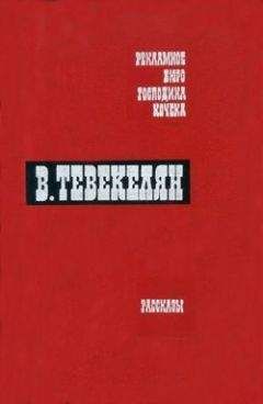 Читайте книги онлайн на Bookidrom.ru! Бесплатные книги в одном клике Варткес Тевекелян - Ночное приключение