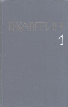 Читайте книги онлайн на Bookidrom.ru! Бесплатные книги в одном клике Вениамин Каверин - Пятый странник
