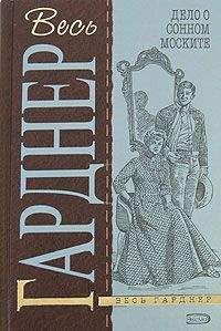 Читайте книги онлайн на Bookidrom.ru! Бесплатные книги в одном клике Эрл Гарднер - Дело о неосторожном котенке