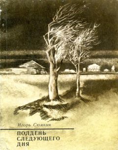 Читайте книги онлайн на Bookidrom.ru! Бесплатные книги в одном клике Игорь Сюмкин - Полдень следующего дня