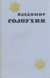 Читайте книги онлайн на Bookidrom.ru! Бесплатные книги в одном клике Владимир Солоухин - Варшавские этюды