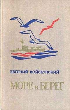 Читайте книги онлайн на Bookidrom.ru! Бесплатные книги в одном клике Евгений Войскунский - Рапорт лейтенанта Одинцова