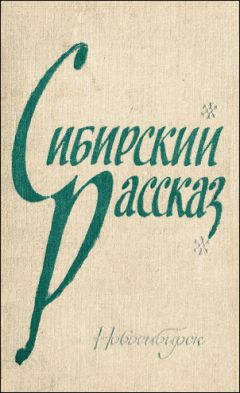 Читайте книги онлайн на Bookidrom.ru! Бесплатные книги в одном клике Анатолий Никульков - Трудное знакомство