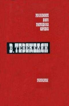 Читайте книги онлайн на Bookidrom.ru! Бесплатные книги в одном клике Варткес Тевекелян - Купец, сын купца