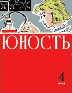 Читайте книги онлайн на Bookidrom.ru! Бесплатные книги в одном клике Борис Никольский - Триста дней ожидания