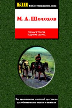 Читайте книги онлайн на Bookidrom.ru! Бесплатные книги в одном клике Михаил Шолохов - Поднятая целина