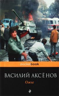 Читайте книги онлайн на Bookidrom.ru! Бесплатные книги в одном клике Василий Аксенов - Ожог