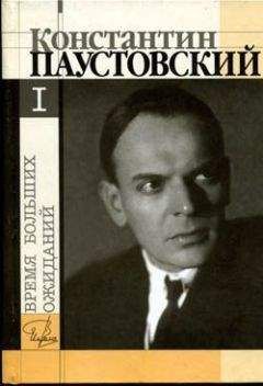 Читайте книги онлайн на Bookidrom.ru! Бесплатные книги в одном клике Константин Паустовский - Время больших ожиданий