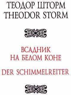 Читайте книги онлайн на Bookidrom.ru! Бесплатные книги в одном клике Теодор Шторм - Всадник на белом коне