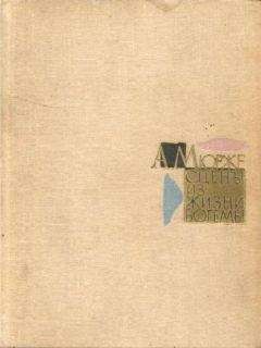 Читайте книги онлайн на Bookidrom.ru! Бесплатные книги в одном клике Анри Мюрже - Сцены из жизни богемы