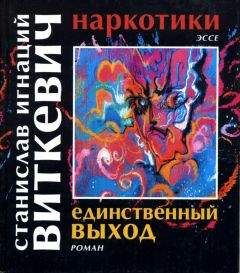 Станислав Виткевич - Наркотики. Единственный выход