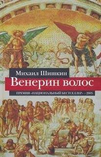 Читайте книги онлайн на Bookidrom.ru! Бесплатные книги в одном клике Михаил Шишкин - Венерин волос