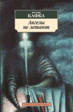 Читайте книги онлайн на Bookidrom.ru! Бесплатные книги в одном клике Франц Кафка - Ангелы не летают